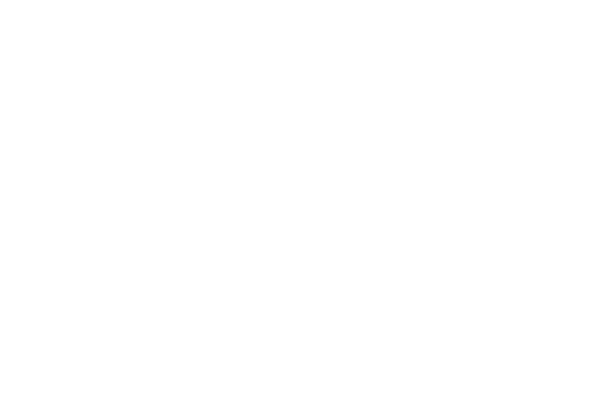 Shanghai Banner
